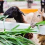 探索电竞精彩 - 旺财28
